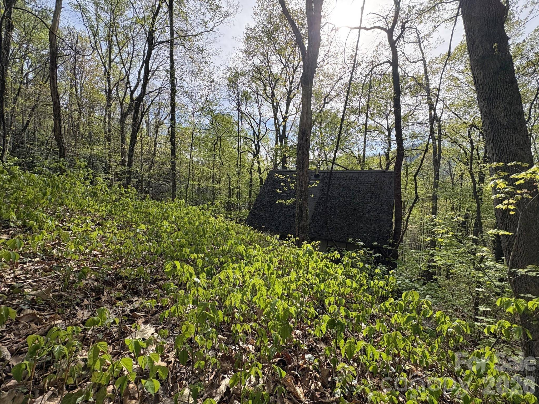 999999 Harwood RD, Barnardsville, NC 28709
