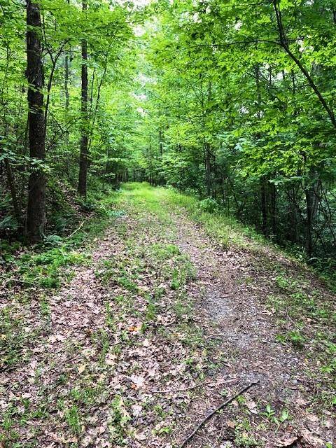 Lot 46 Lake Adger Pkwy, Mill Spring, NC 28756