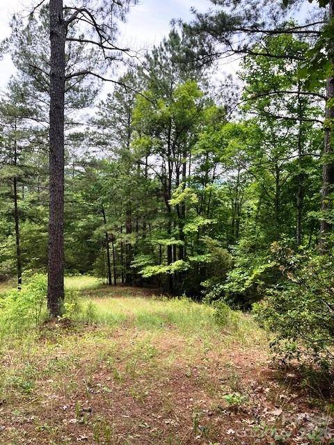 Lot 46 Lake Adger Pkwy, Mill Spring, NC 28756
