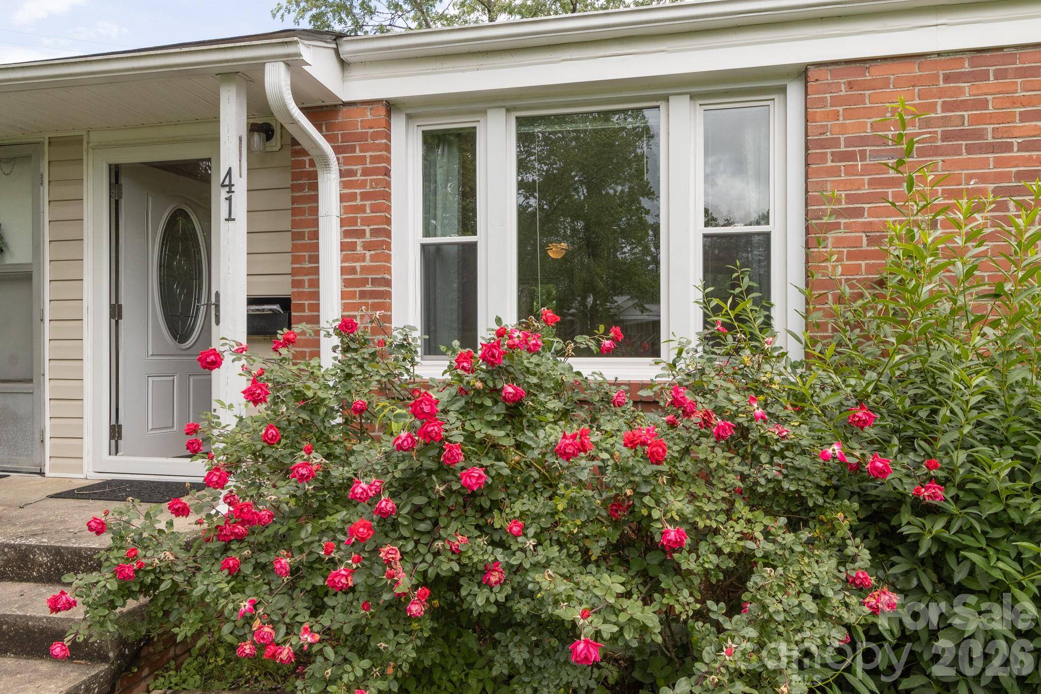 41 Trowbridge LN, Brevard, NC 28712
