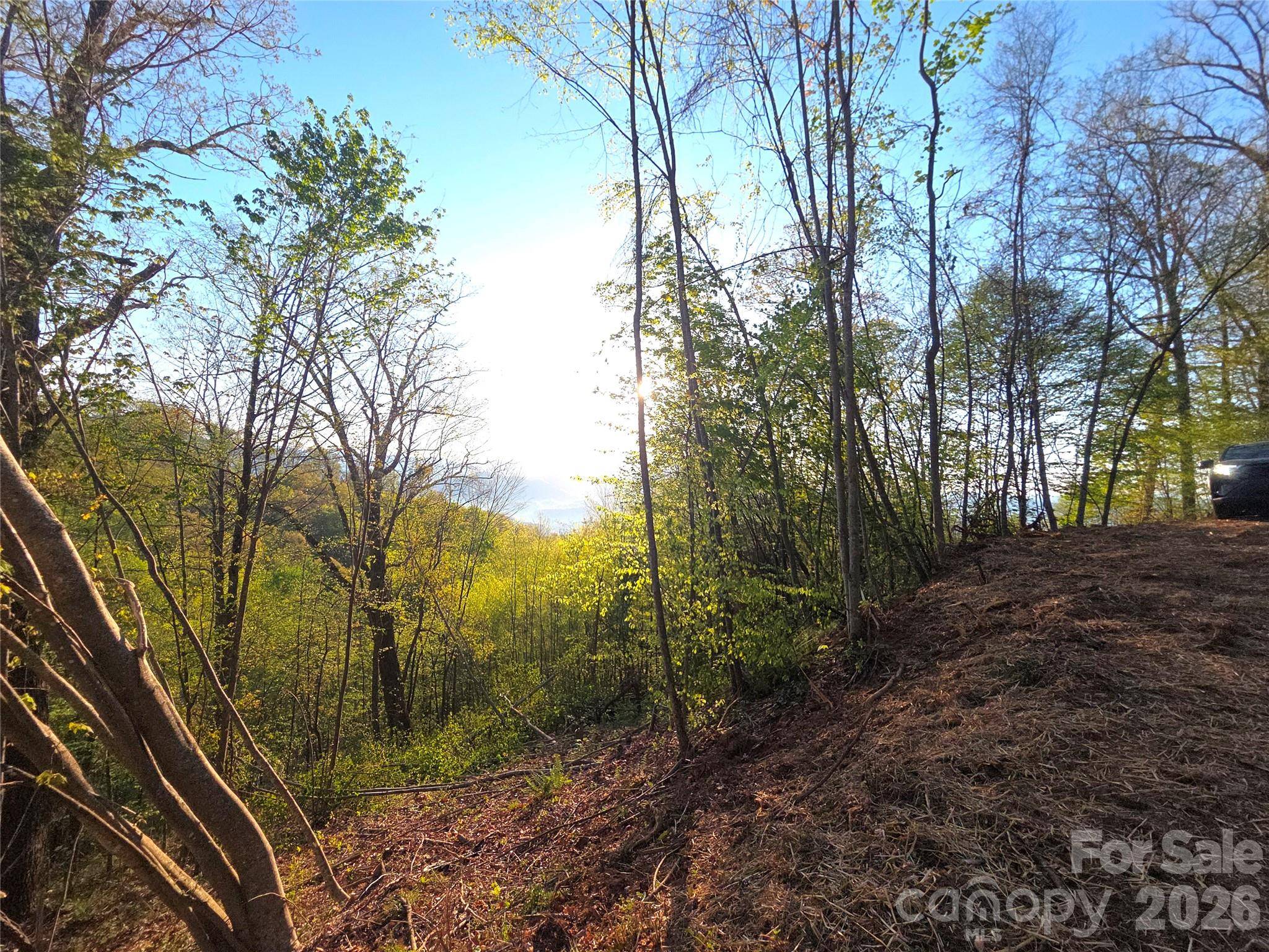 3355 Utah Mountain RD #3-F, Waynesville, NC 28785