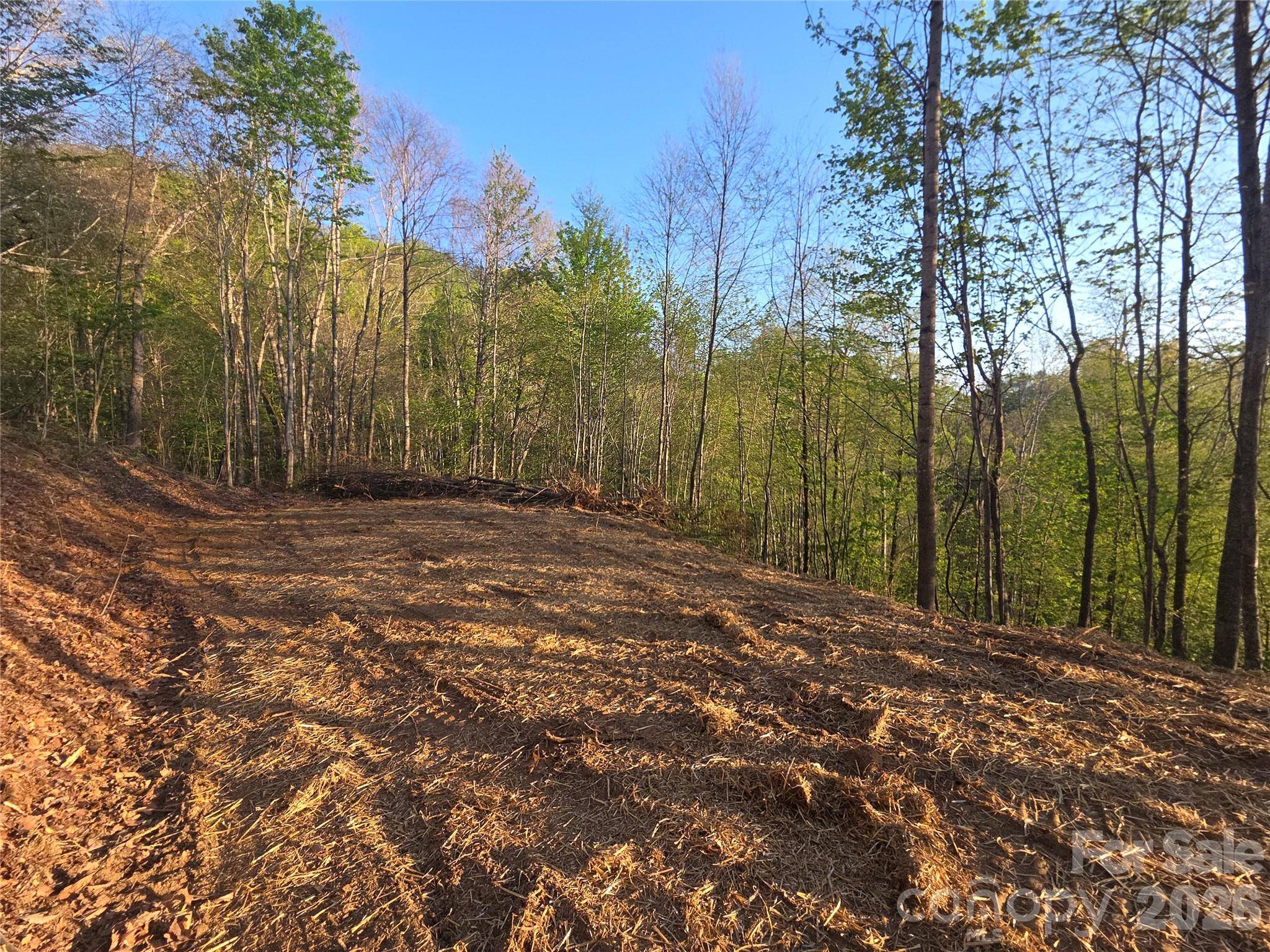 3355 Utah Mountain RD #3-F, Waynesville, NC 28785