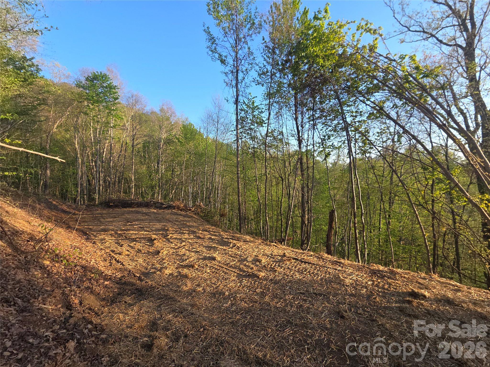 3355 Utah Mountain RD #3-F, Waynesville, NC 28785