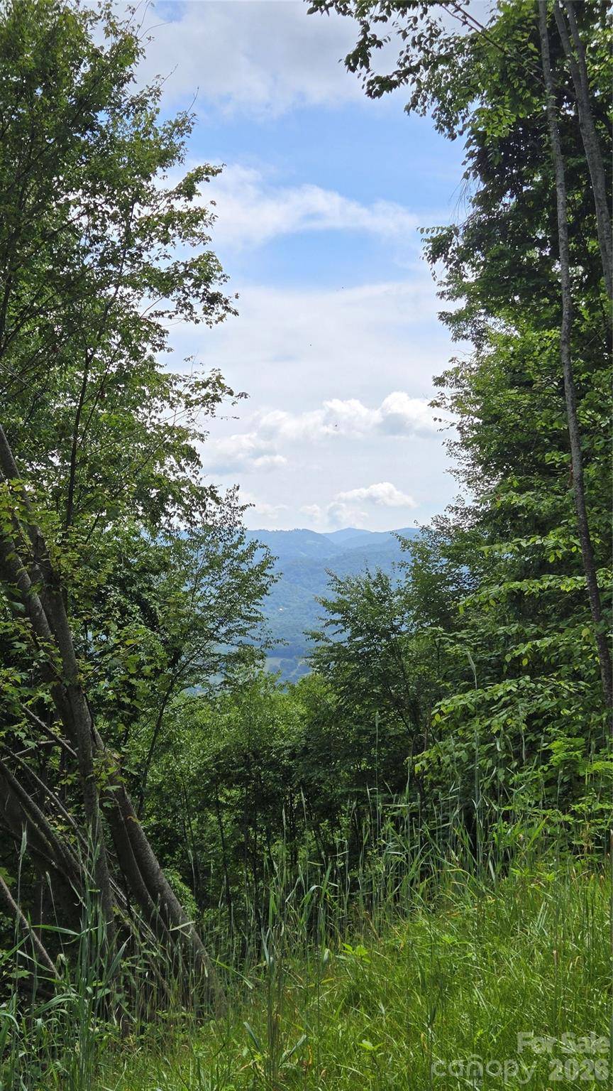 3355 Utah Mountain RD #3-F, Waynesville, NC 28785