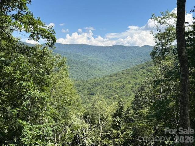 5379 PRESERVE RD #189, Sylva, NC 28779