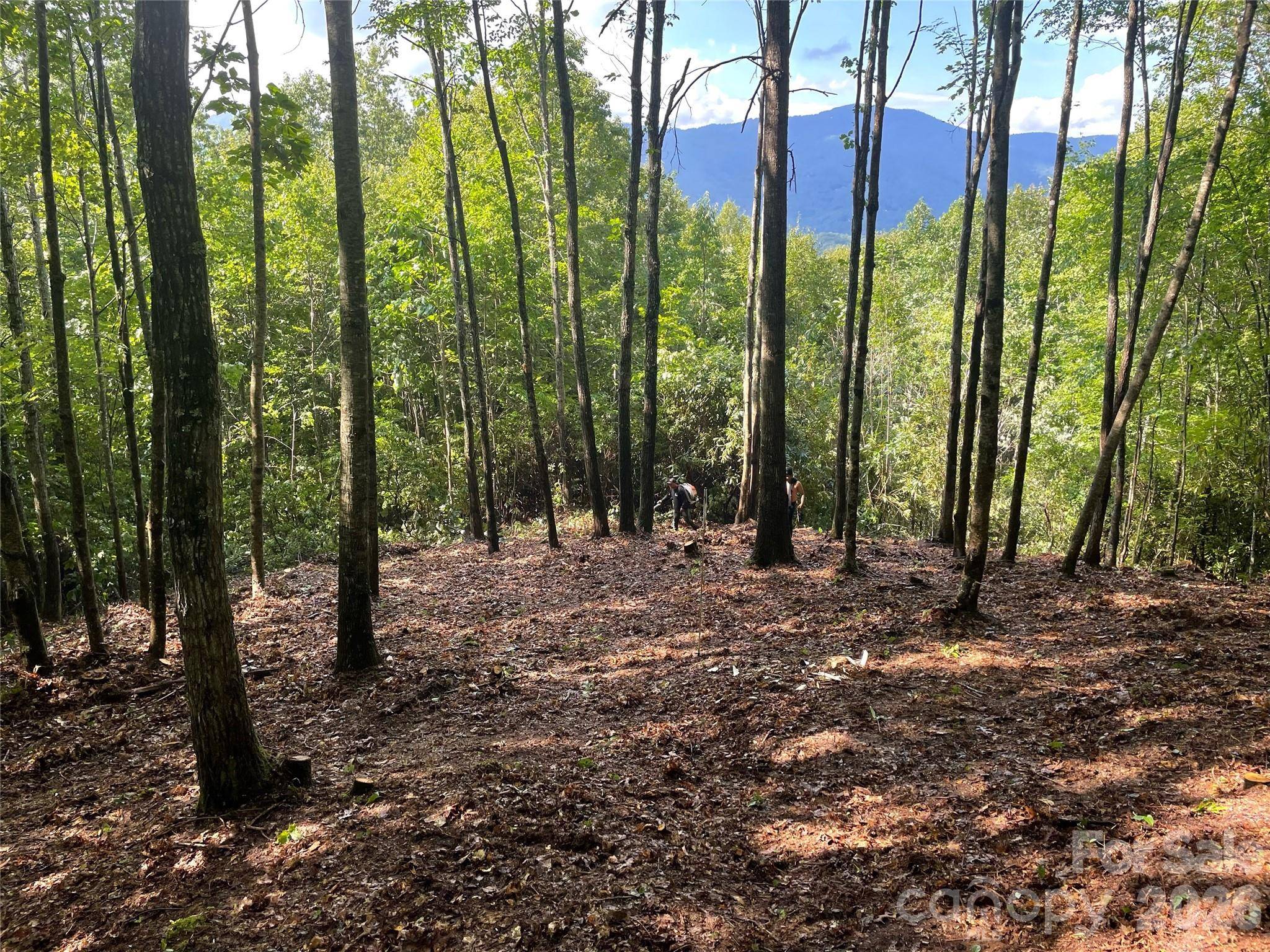 Lt 239 Down The Hill RD #239, Sylva, NC 28779