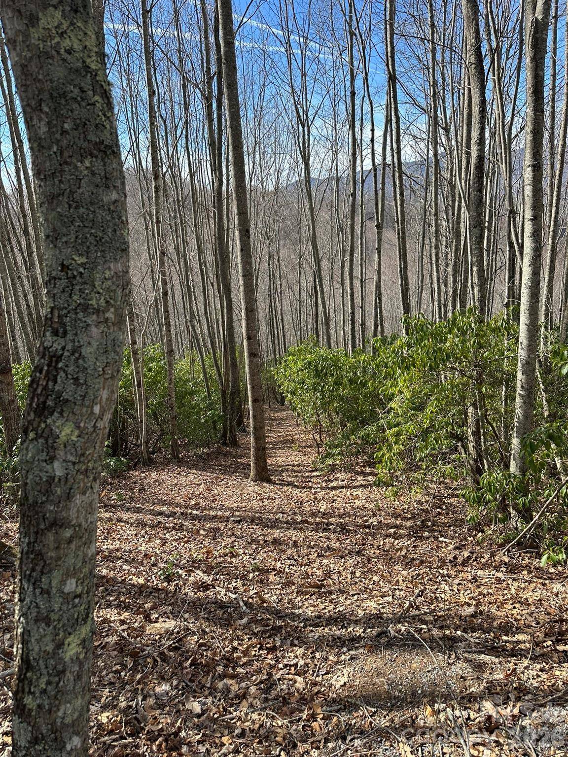 Lt 239 Down The Hill RD #239, Sylva, NC 28779