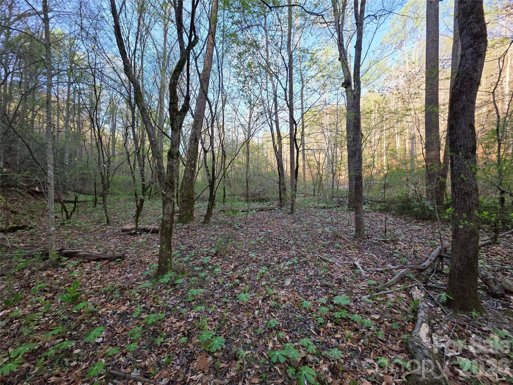 00 Mountain Creek WAY, Marion, NC 28752