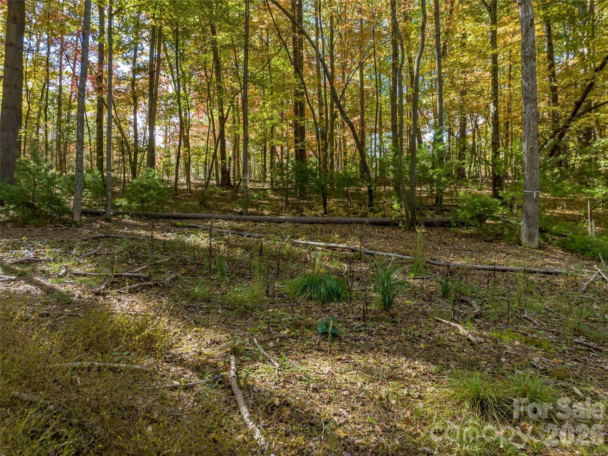 75 Emerald Necklace DR #411, Asheville, NC 28803
