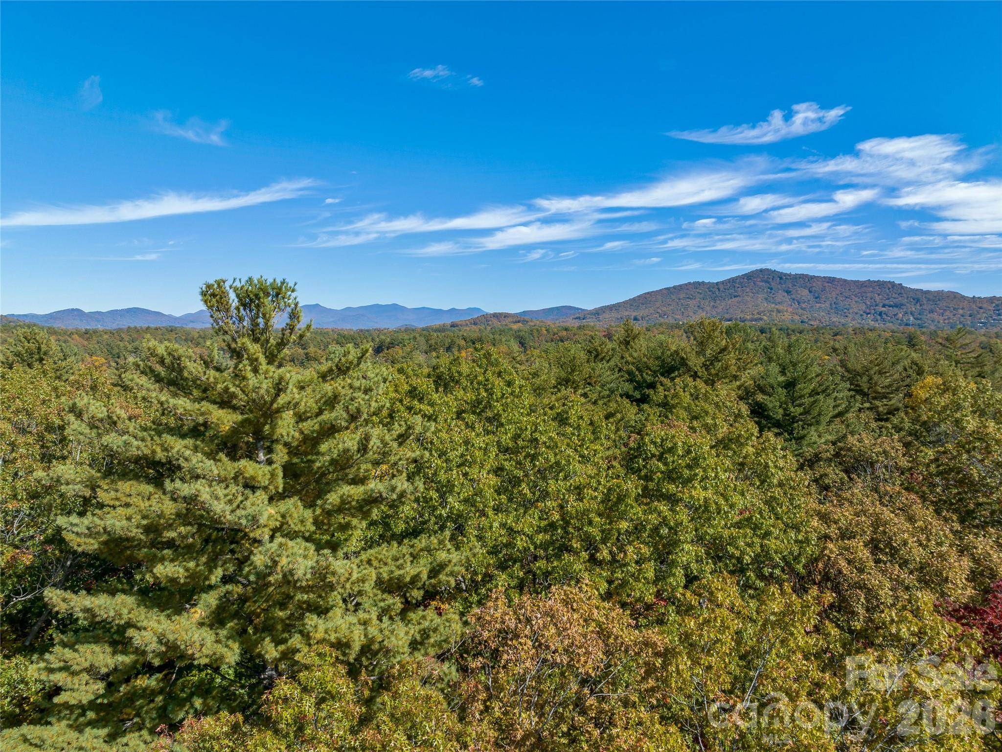 75 Emerald Necklace DR #411, Asheville, NC 28803