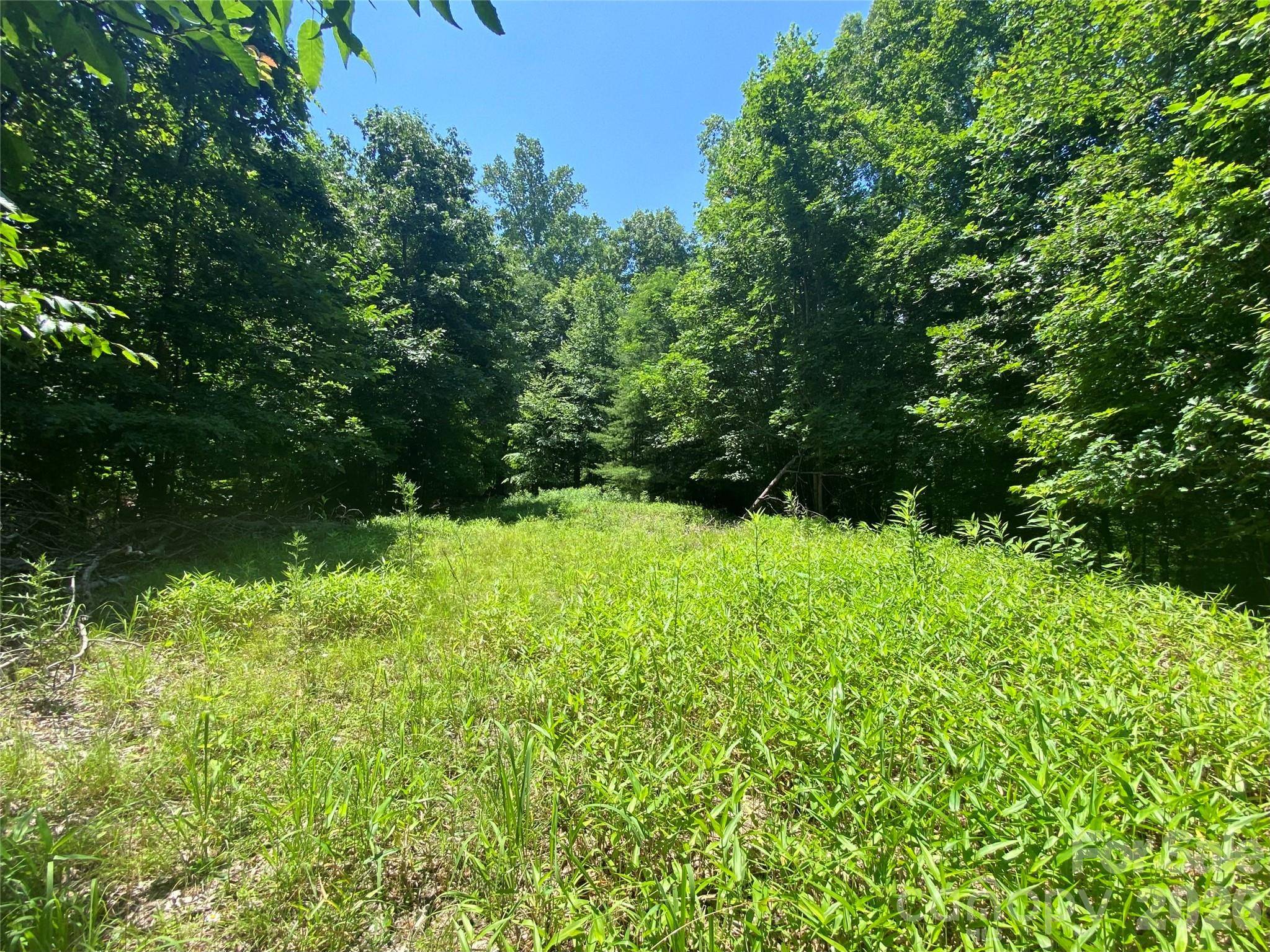 00 Scenic View DR #1 & 2, Green Mountain, NC 28740