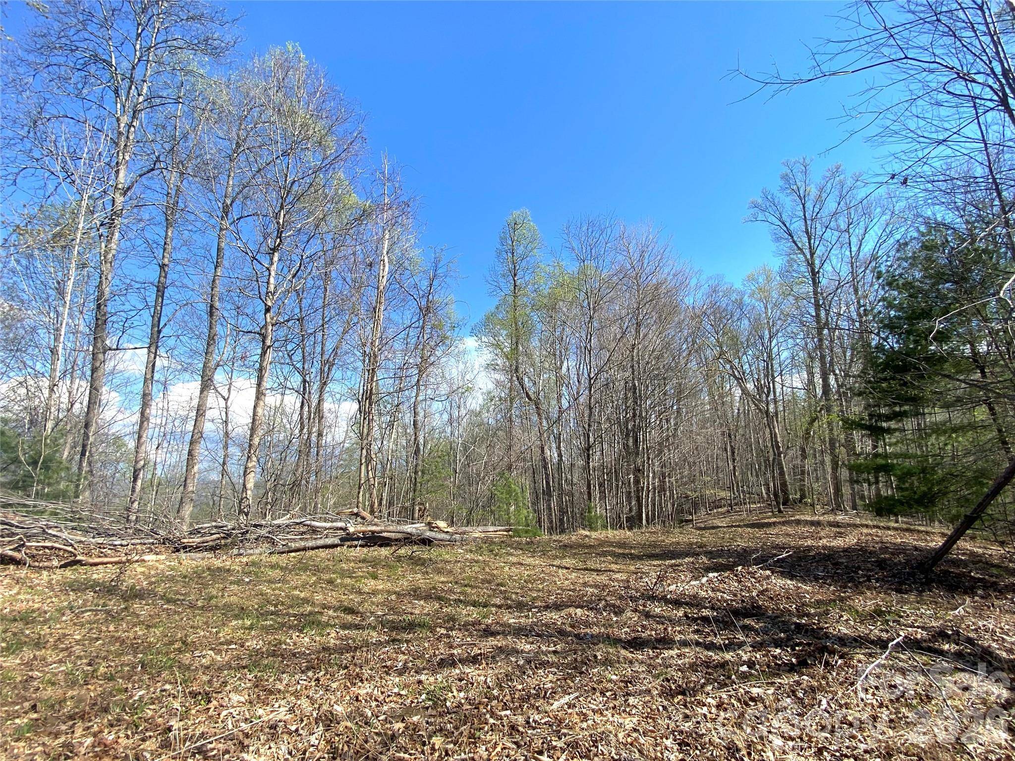 00 Scenic View DR #1 & 2, Green Mountain, NC 28740