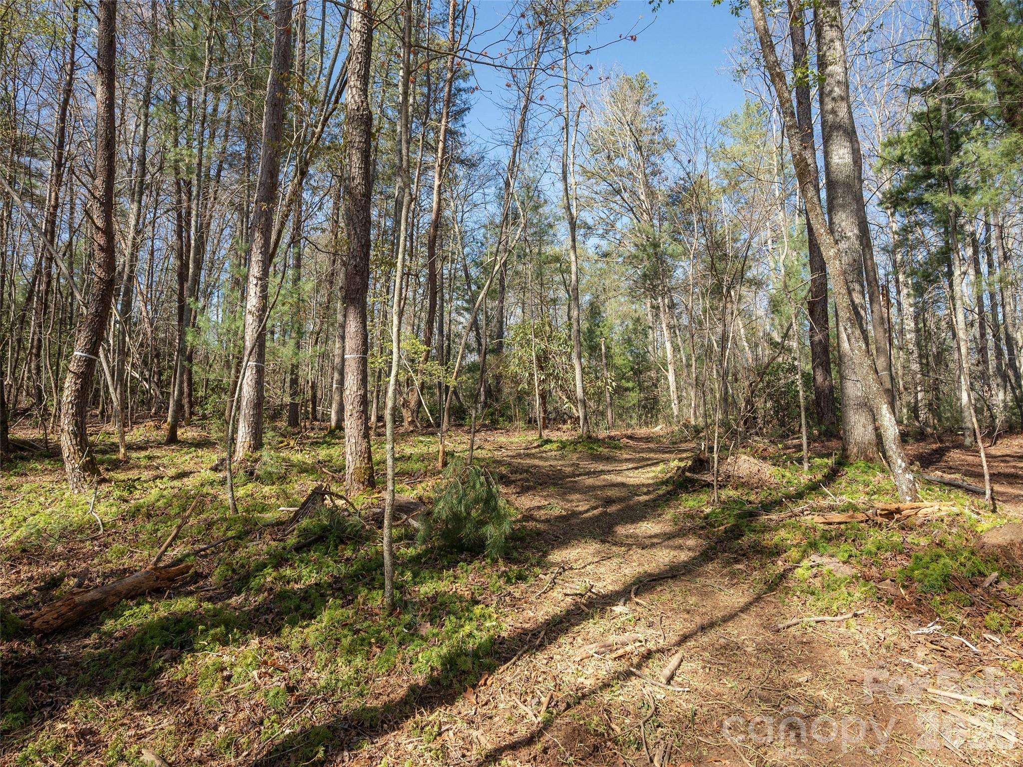 137 Nancy Ashworth LN #13, Fairview, NC 28730