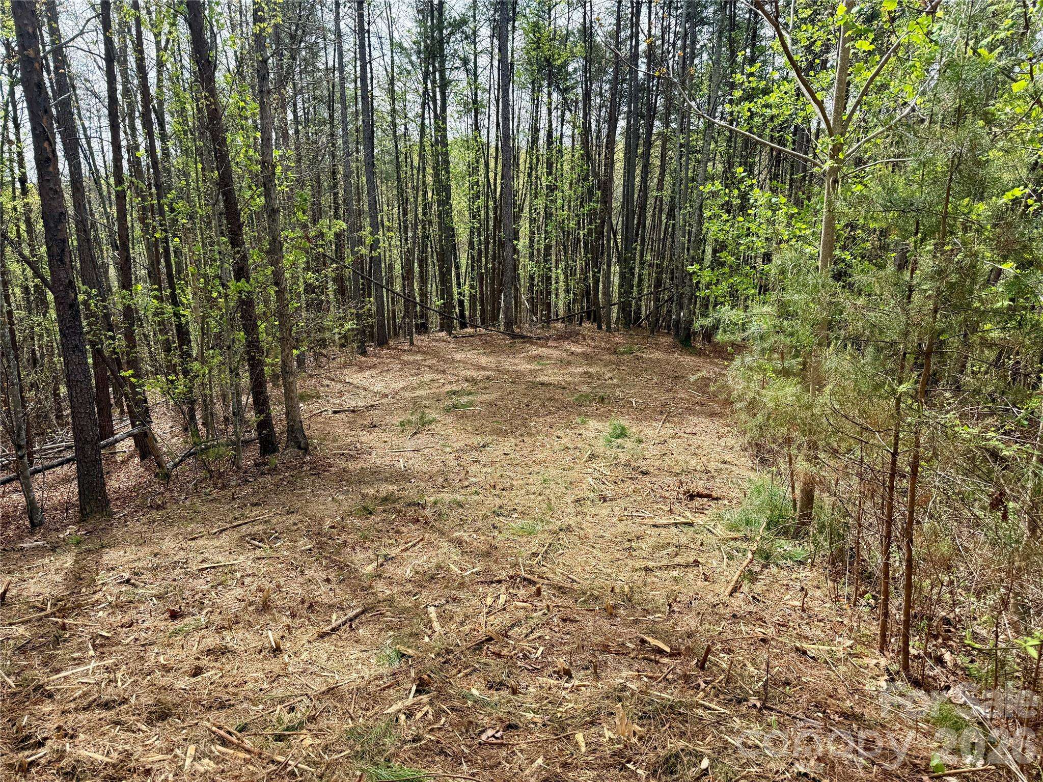 Lot 488 Bella Vista WAY #488, Nebo, NC 28761
