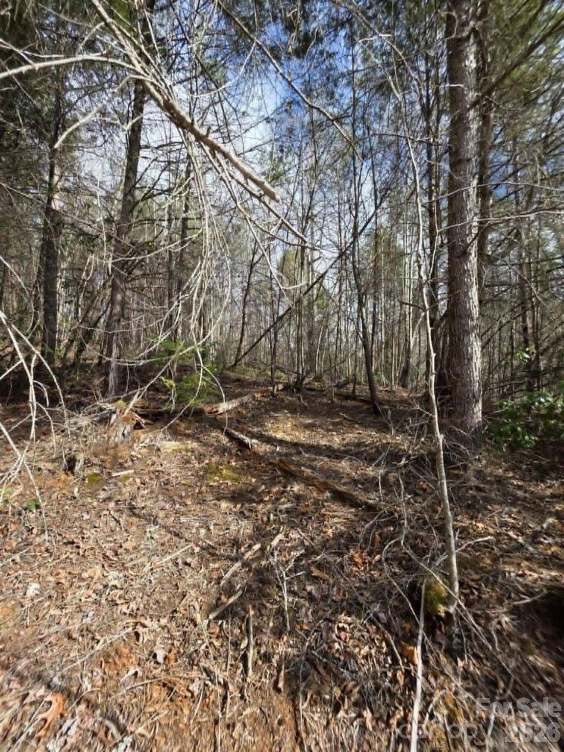 Lot 7 Kerlee LN, Old Fort, NC 28762