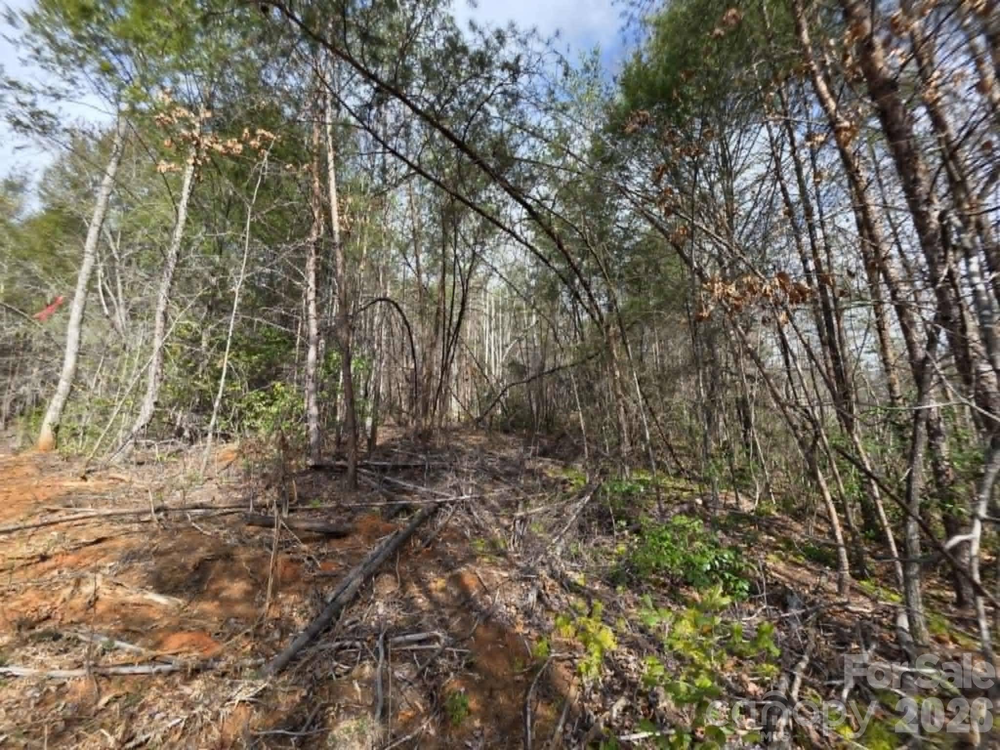 Lot 7 Kerlee LN, Old Fort, NC 28762