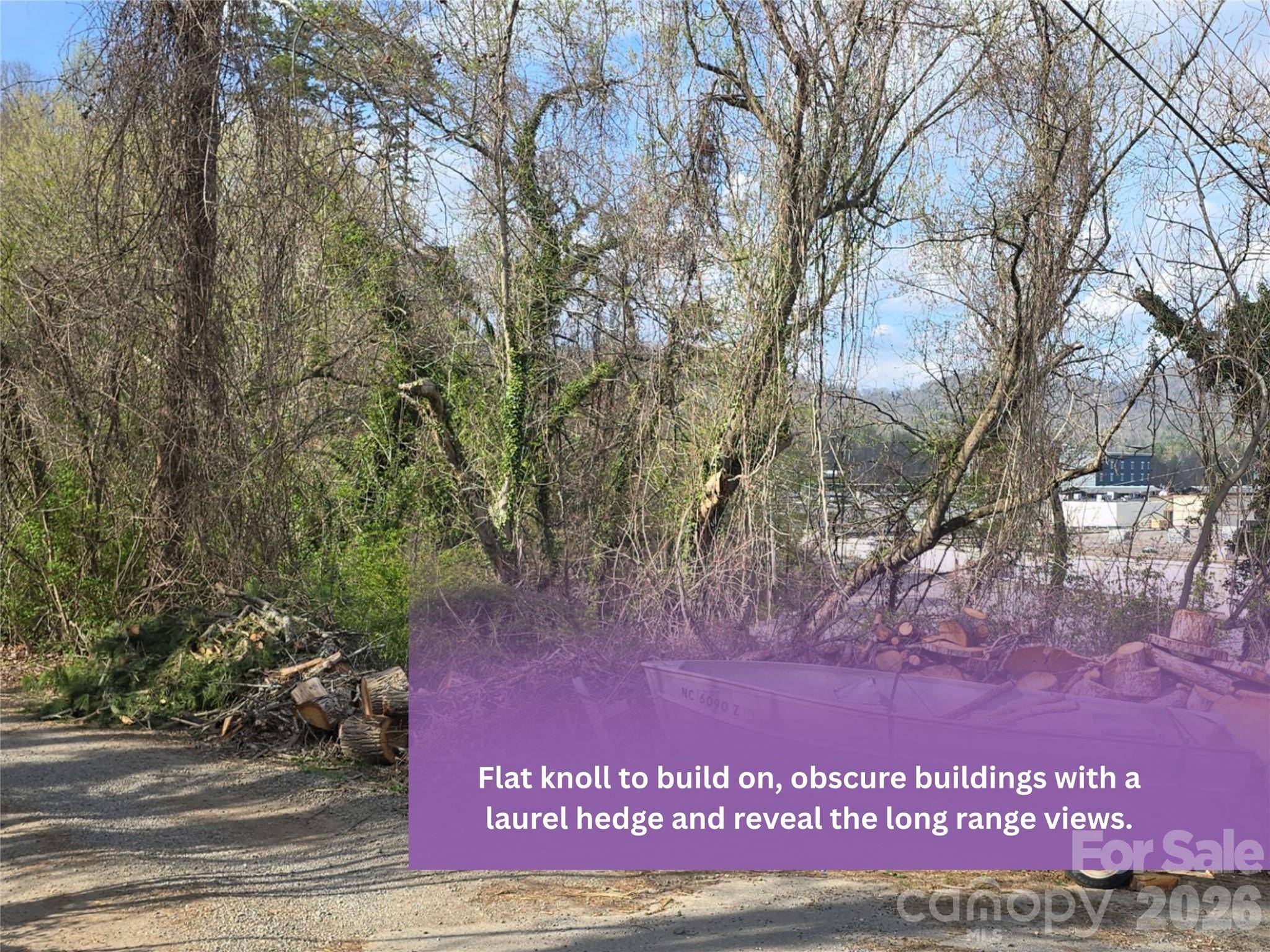 999999 Beaucatcher RD, Asheville, NC 28805