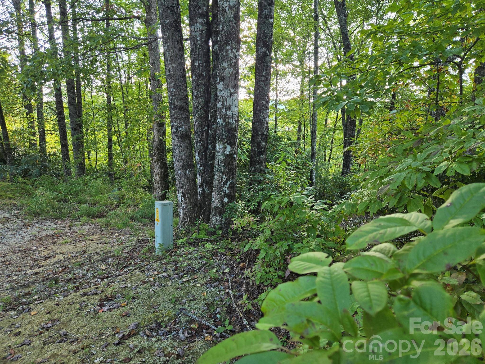 303 Ladd RDG, Rosman, NC 28772