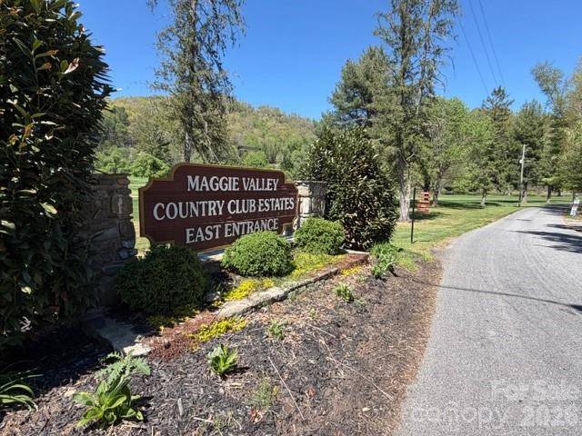 0000 Greenview DR, Maggie Valley, NC 28751