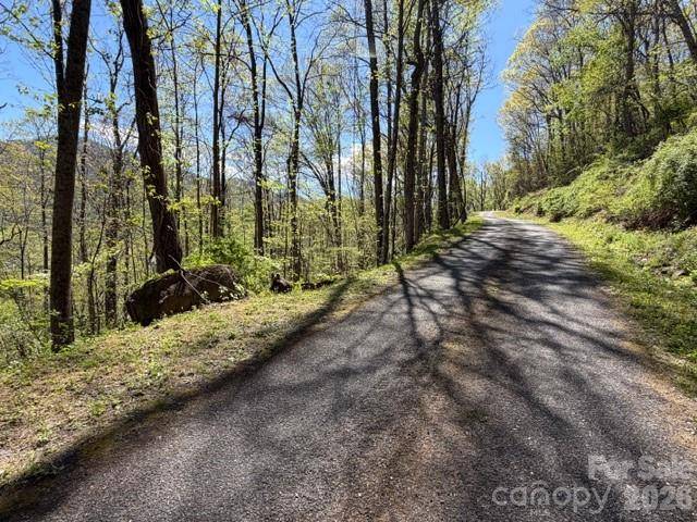 0000 Greenview DR, Maggie Valley, NC 28751
