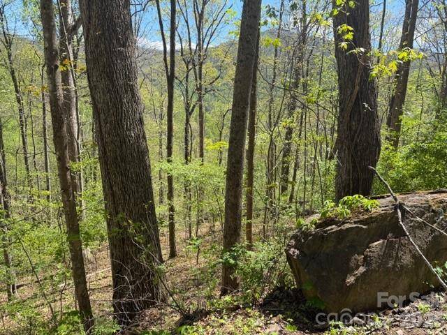 0000 Greenview DR, Maggie Valley, NC 28751