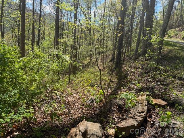 0000 Greenview DR, Maggie Valley, NC 28751