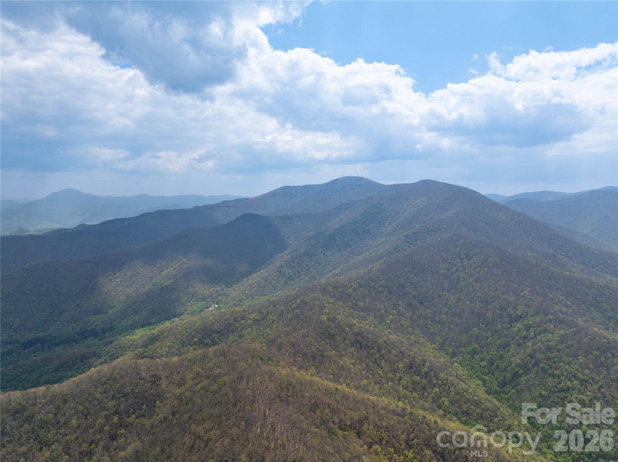 1299 Tiger Tail LN, Canton, NC 28716