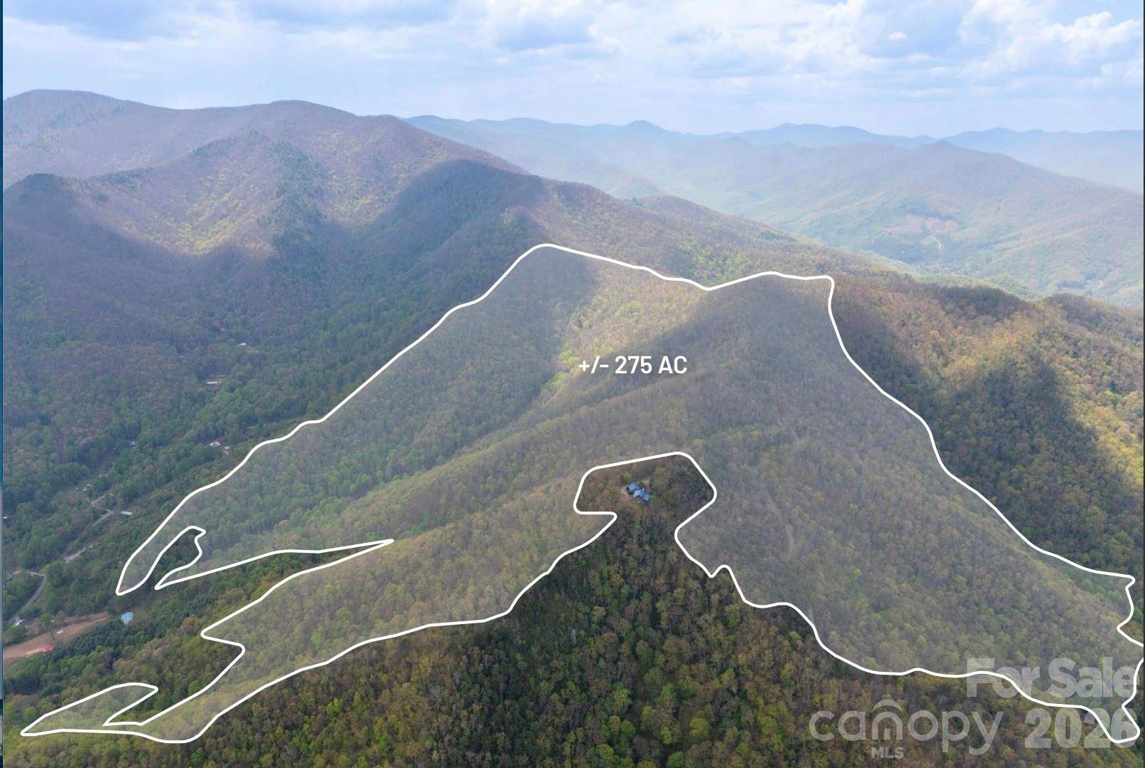 1299 Tiger Tail LN, Canton, NC 28716