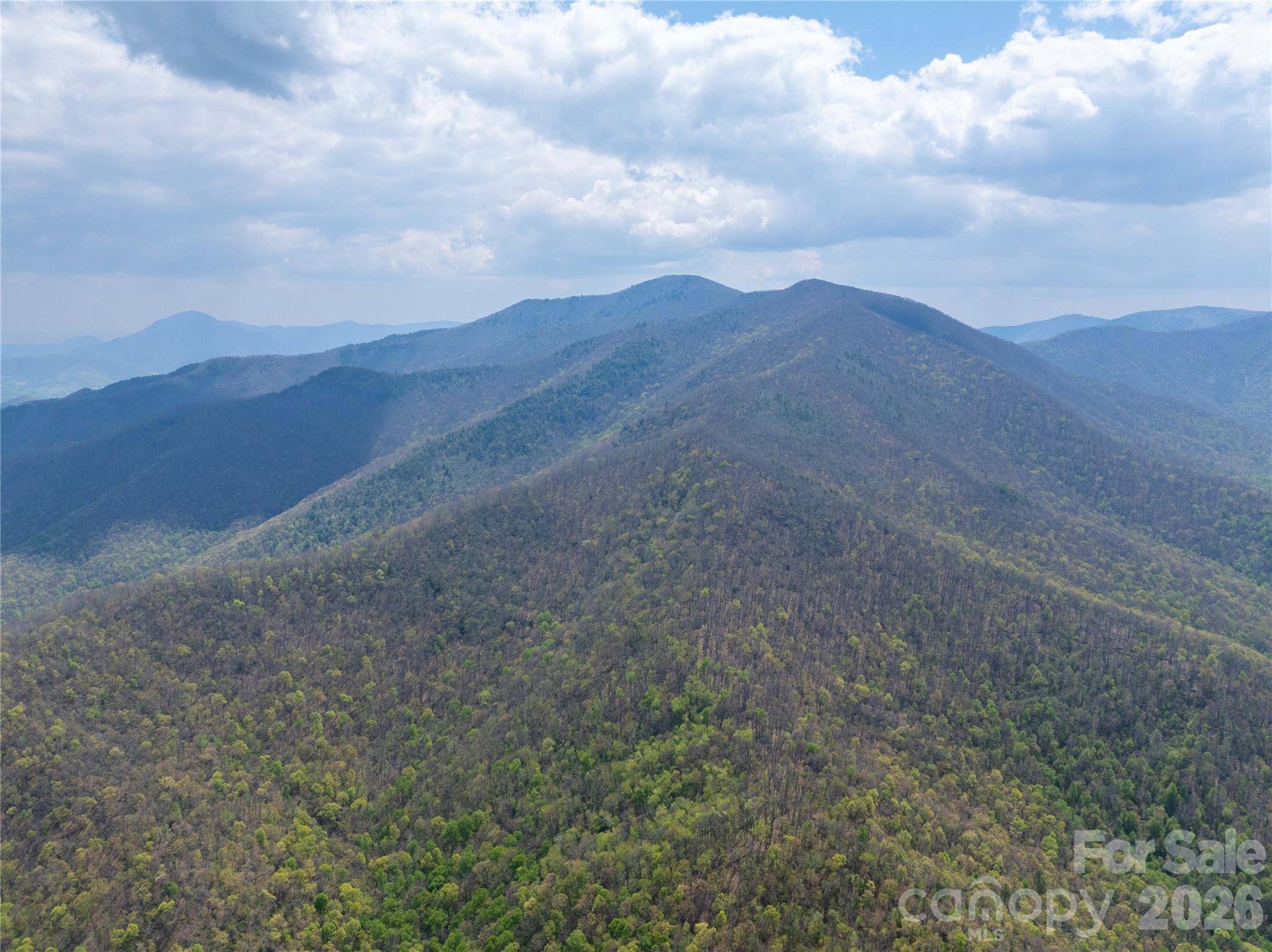 1299 Tiger Tail LN, Canton, NC 28716