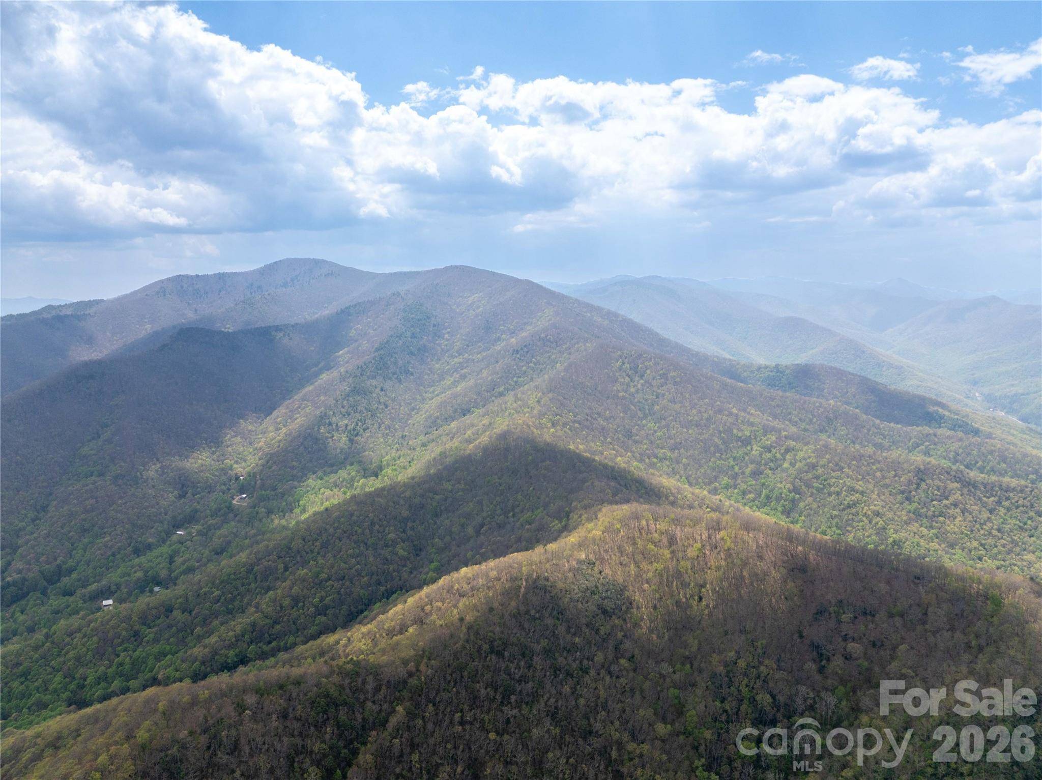 1299 Tiger Tail LN, Canton, NC 28716