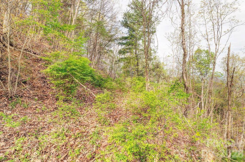 99999 Leisure Mountain RD #22, Asheville, NC 28804
