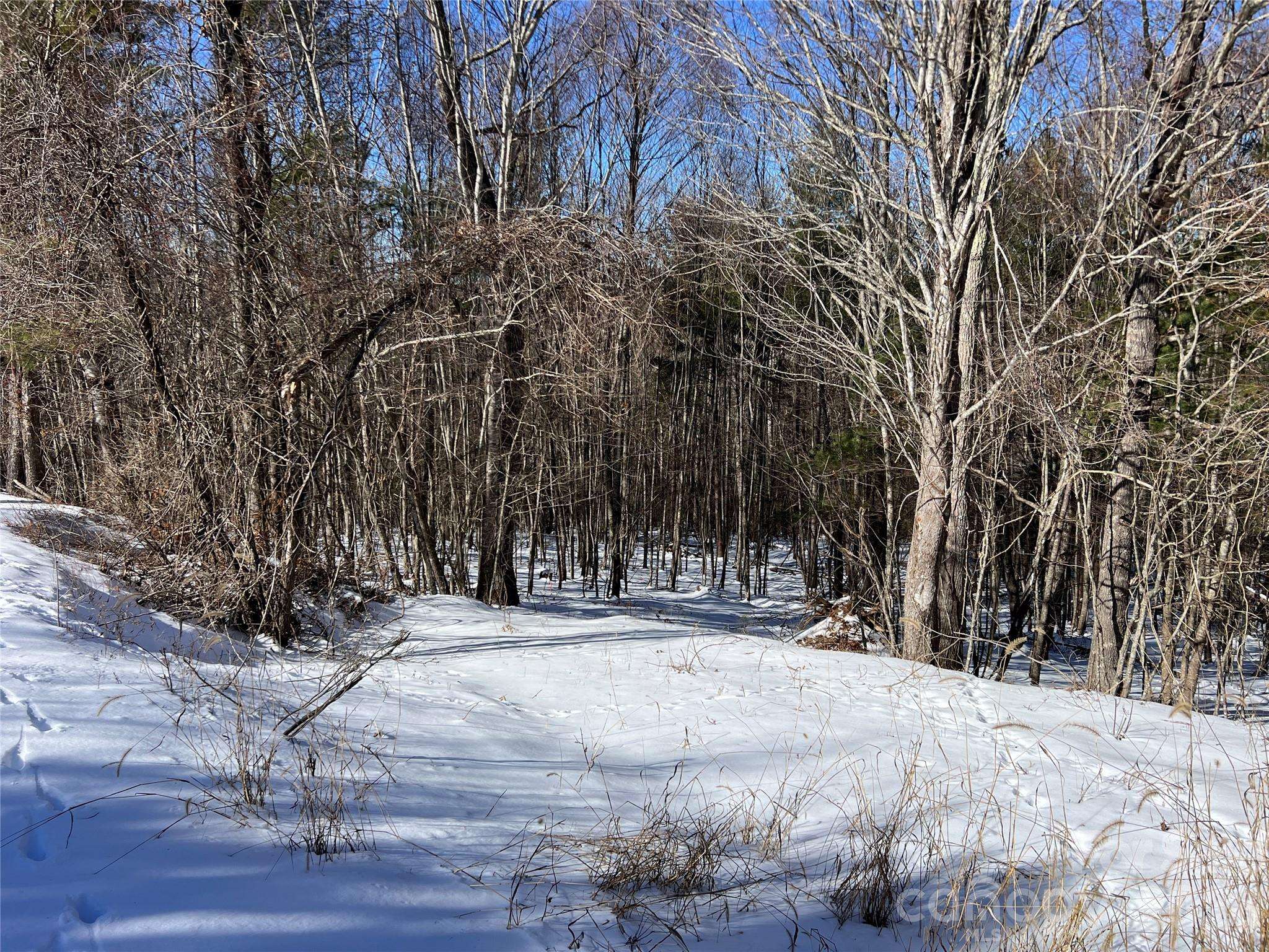 TBD (Lots 13 & 14) Timberwilde DR, Laurel Springs, NC 28644