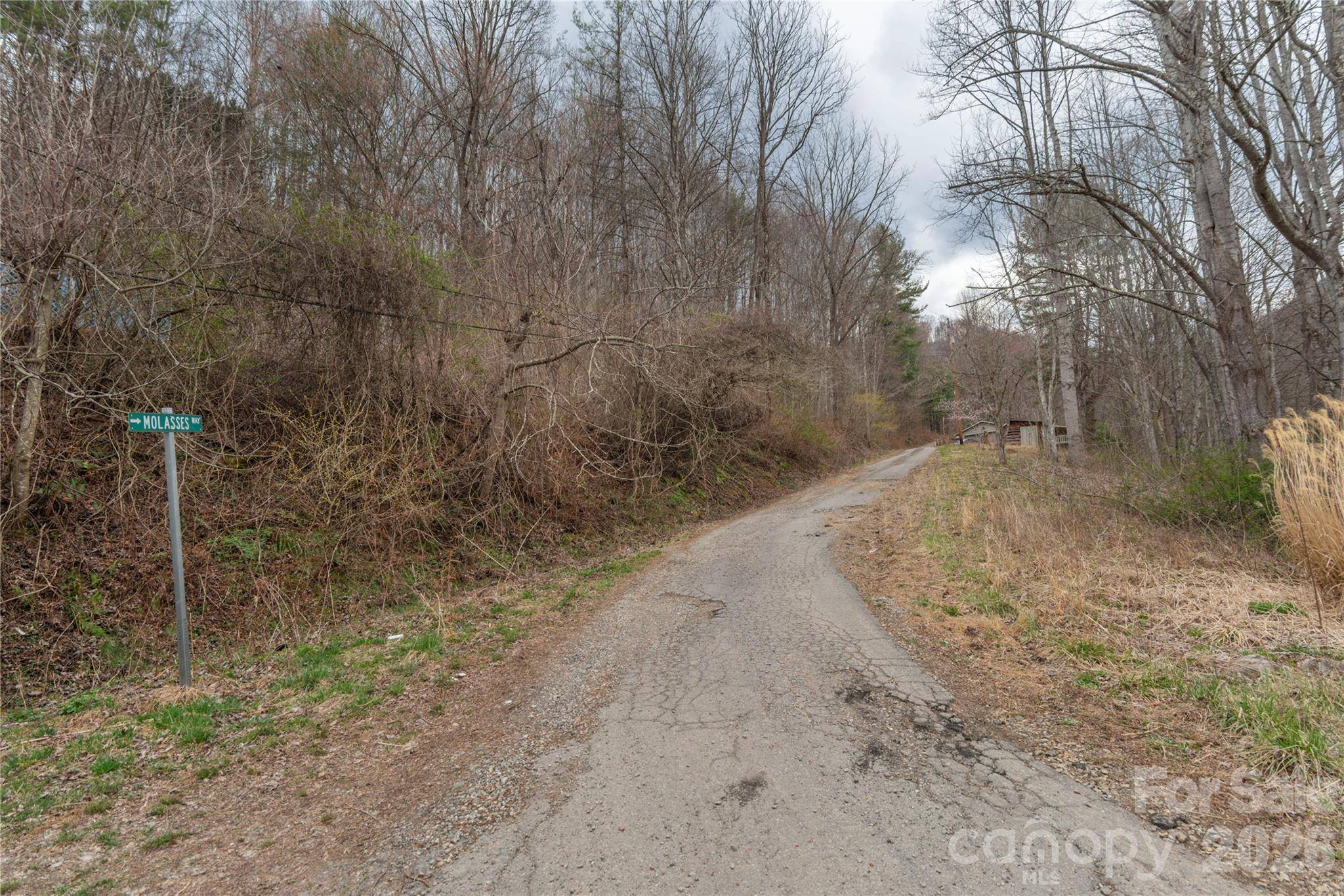 99999 Molasses WAY, Waynesville, NC 28785