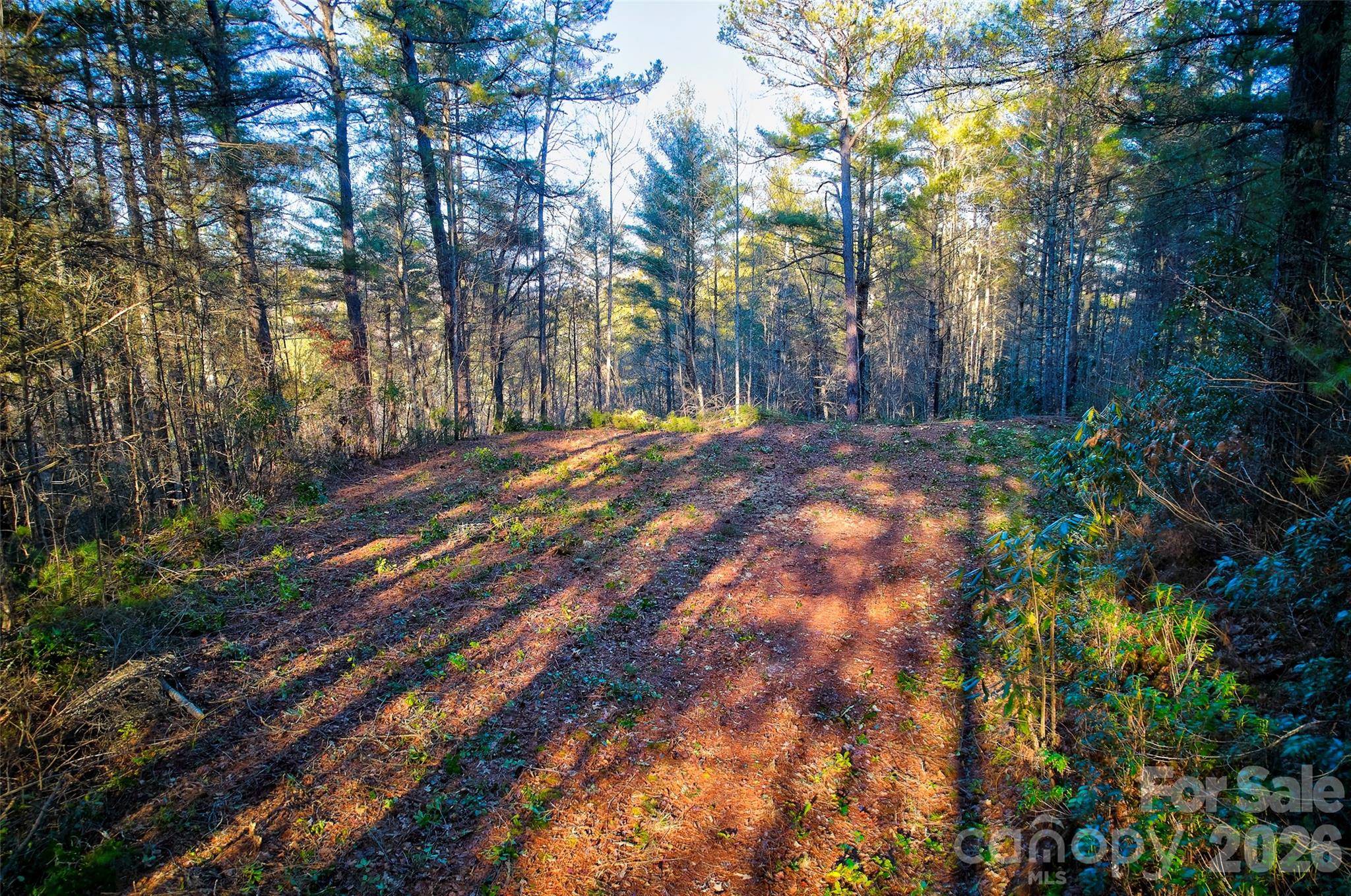 00 Piney Cove RD, Bryson City, NC 28713
