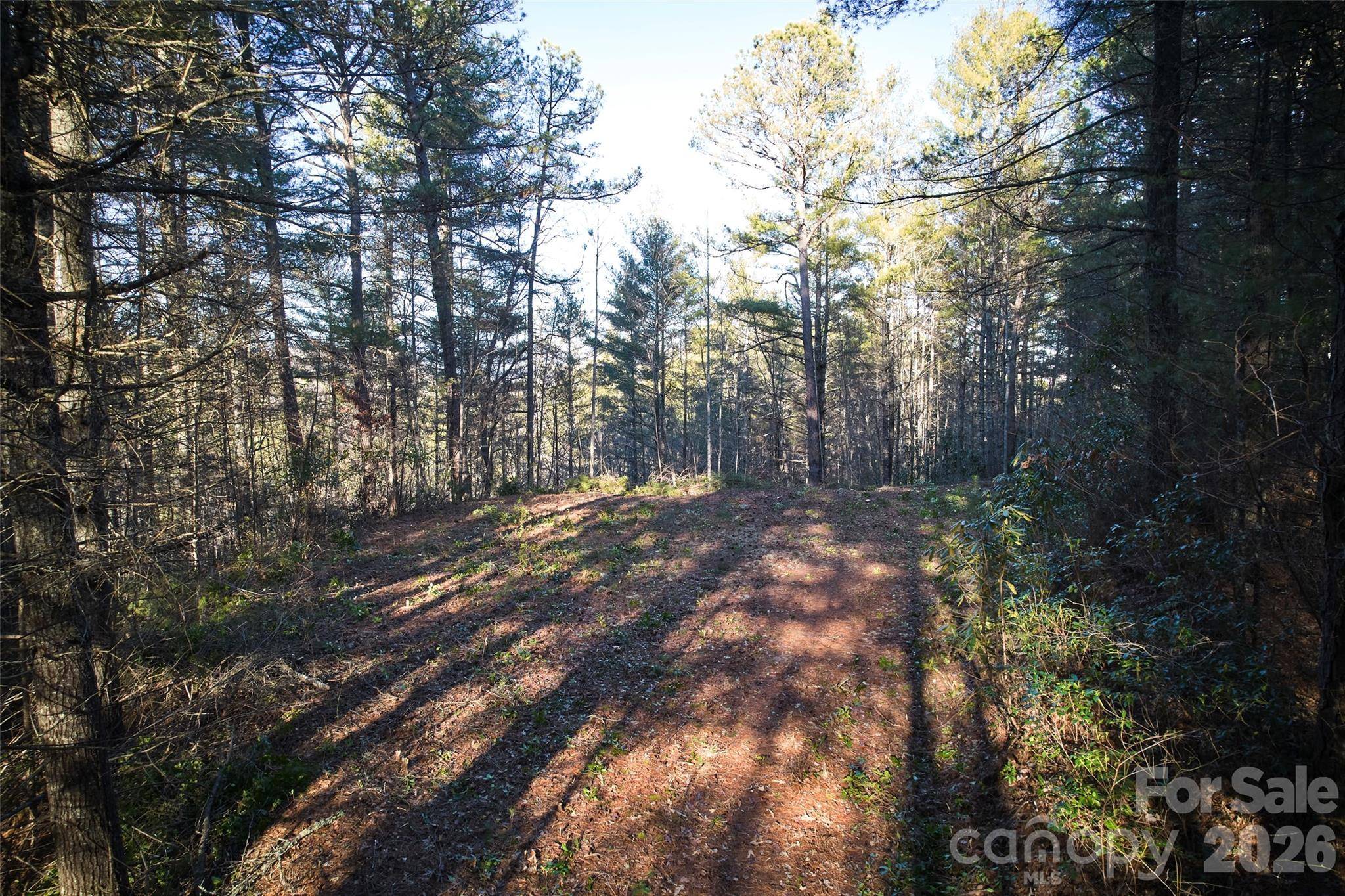 00 Piney Cove RD, Bryson City, NC 28713