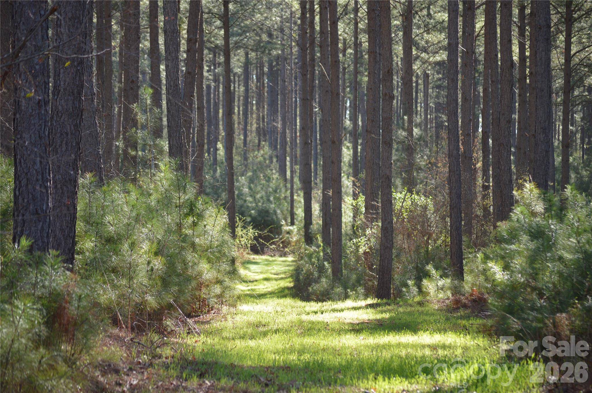 00 Peter Hawk Creek RD #12, Jonesville, SC 29353