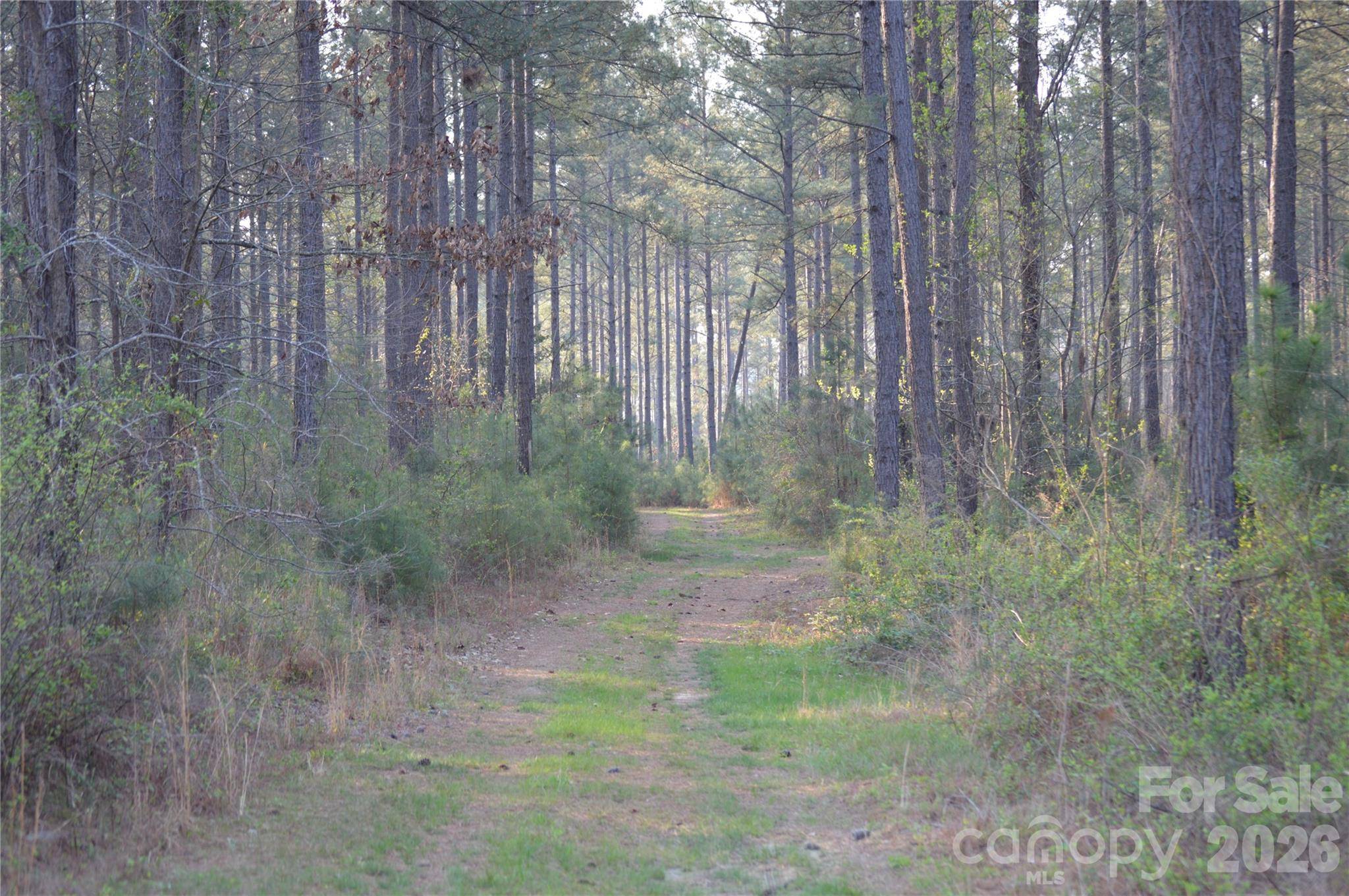 00 Peter Hawk Creek RD #13, Jonesville, SC 29353