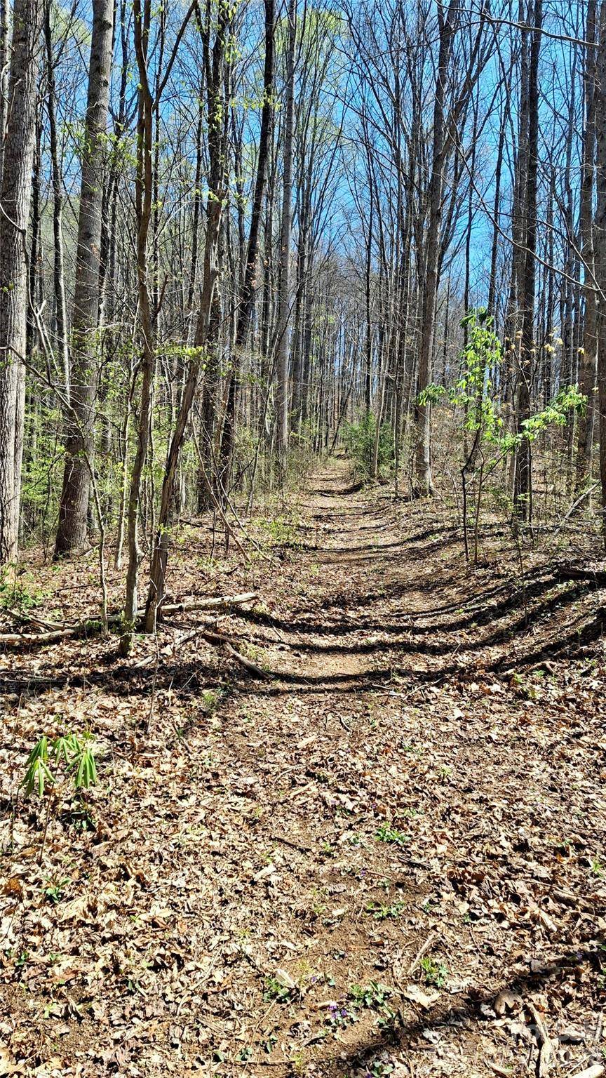 00 Maynor DR, Sylva, NC 28779