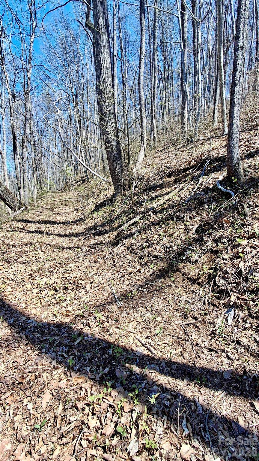 00 Maynor DR, Sylva, NC 28779