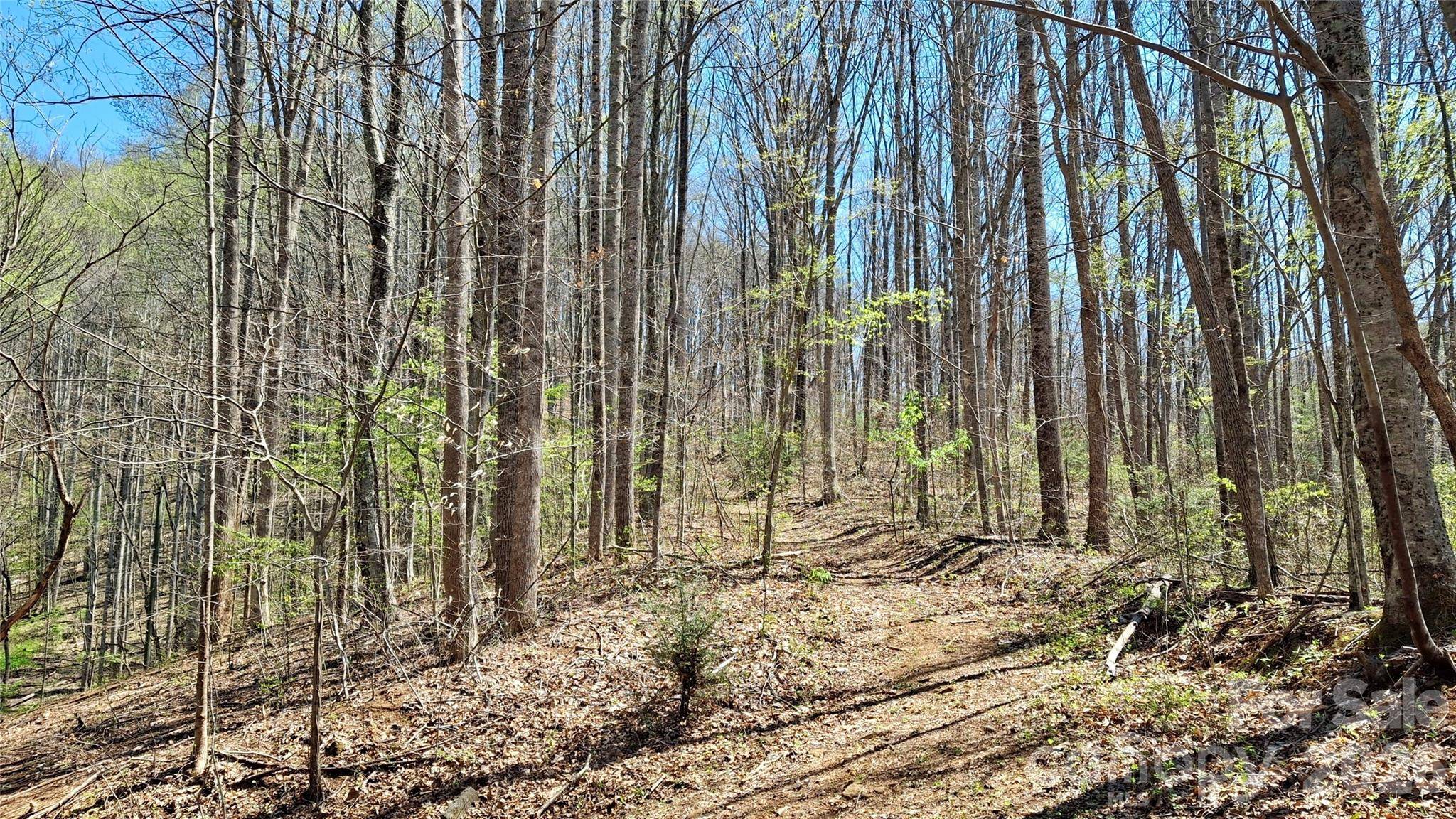 00 Maynor DR, Sylva, NC 28779