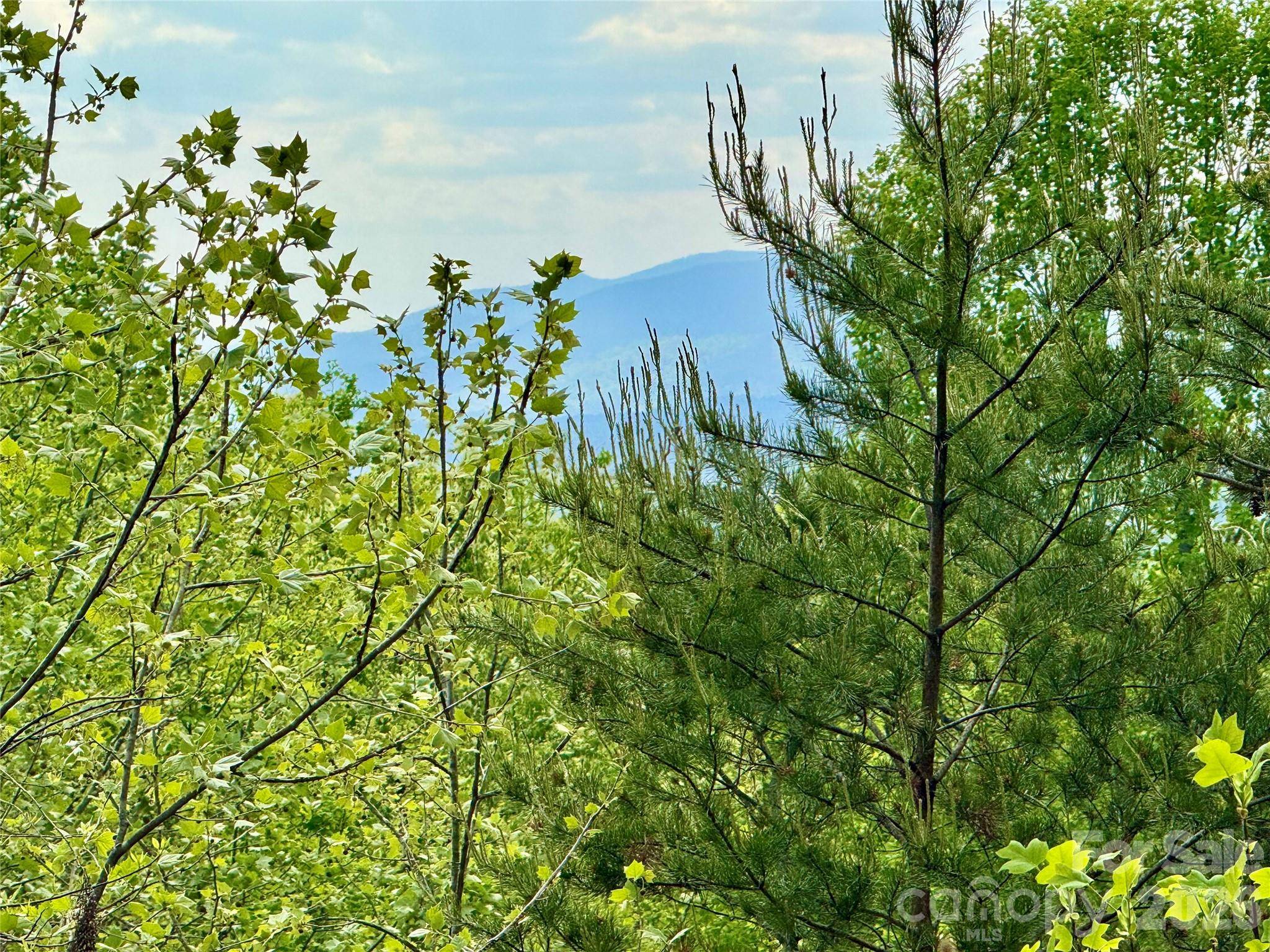 Lot 161/162 Rocky Falls LN #161/162, Lenoir, NC 28645