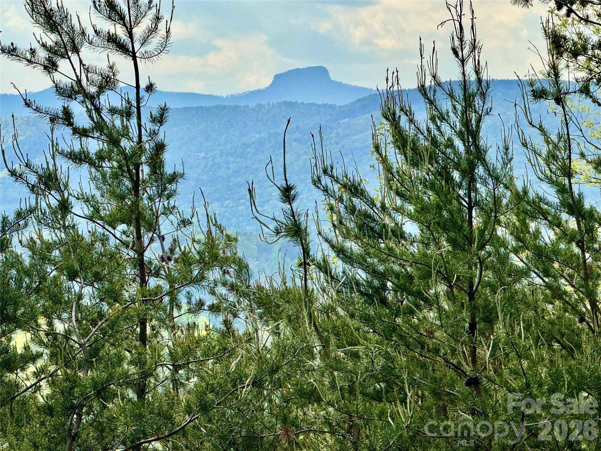 Lot 161/162 Rocky Falls LN #161/162, Lenoir, NC 28645