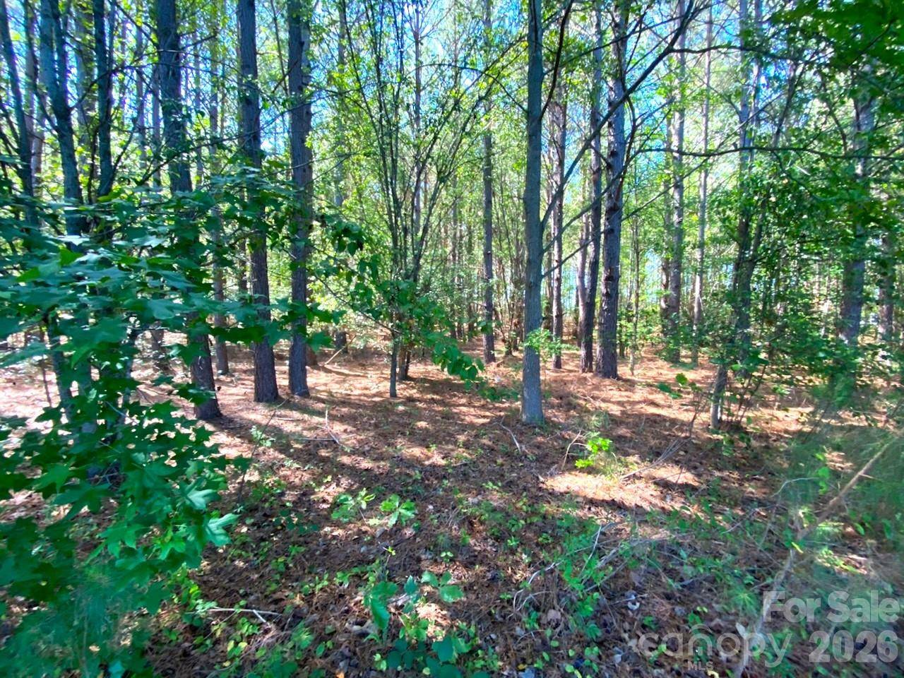 147-Lot A Baxter RD, Cherryville, NC 28021