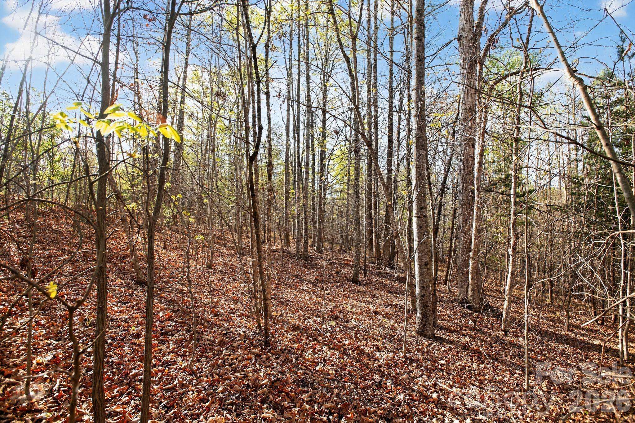 Lot 62 Dirksen AVE, Nebo, NC 28655