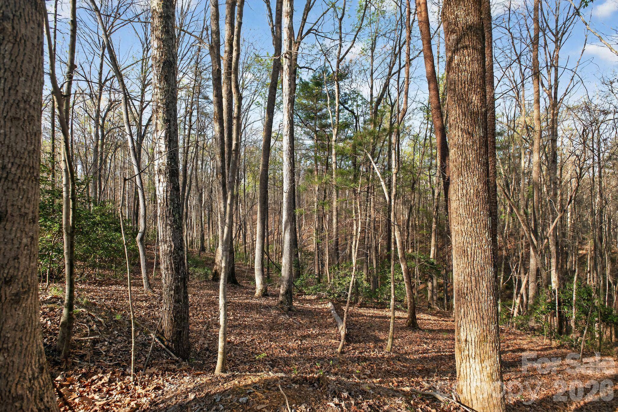 Lot 62 Dirksen AVE, Nebo, NC 28655