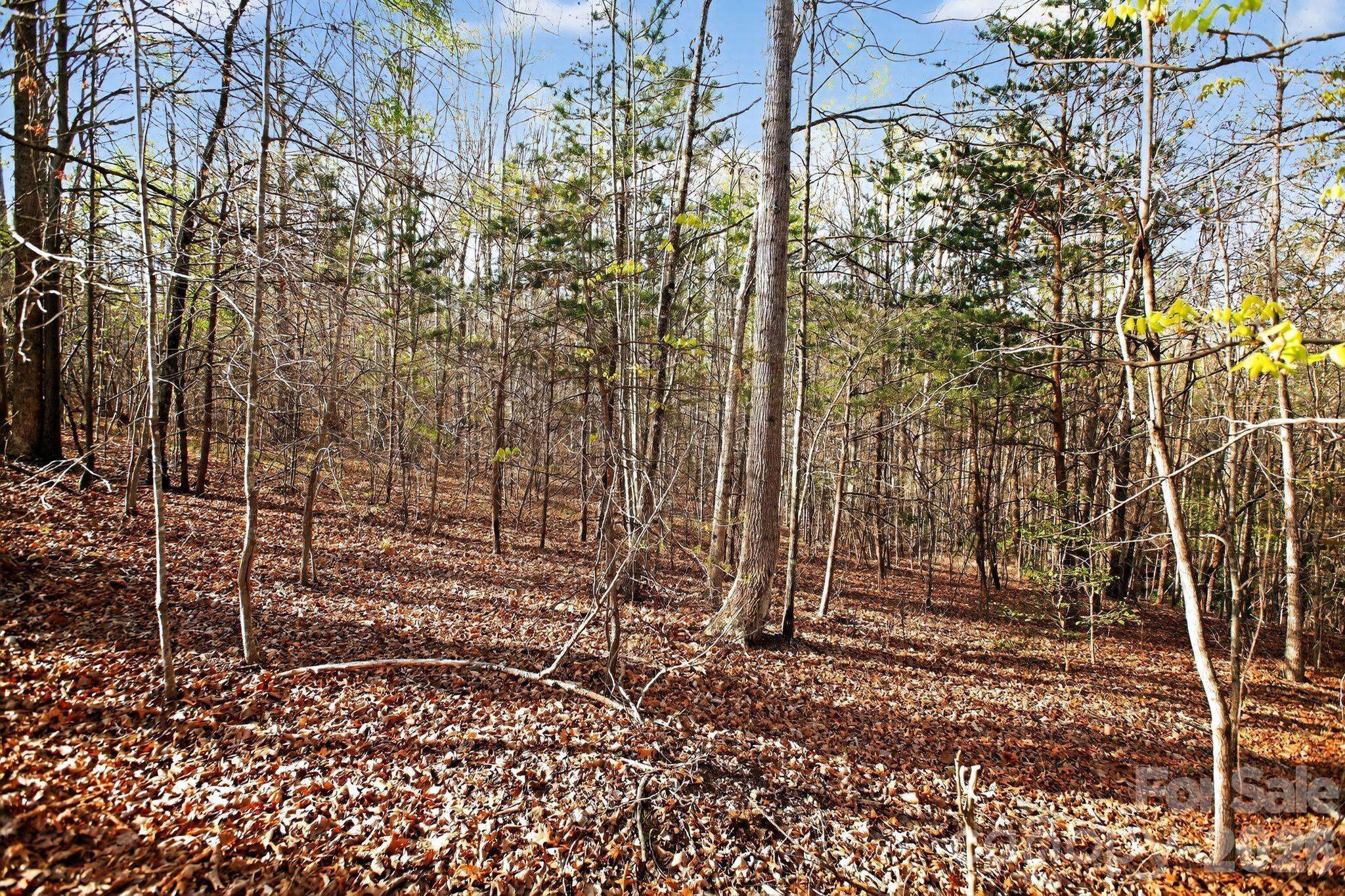 Lot 62 Dirksen AVE, Nebo, NC 28655