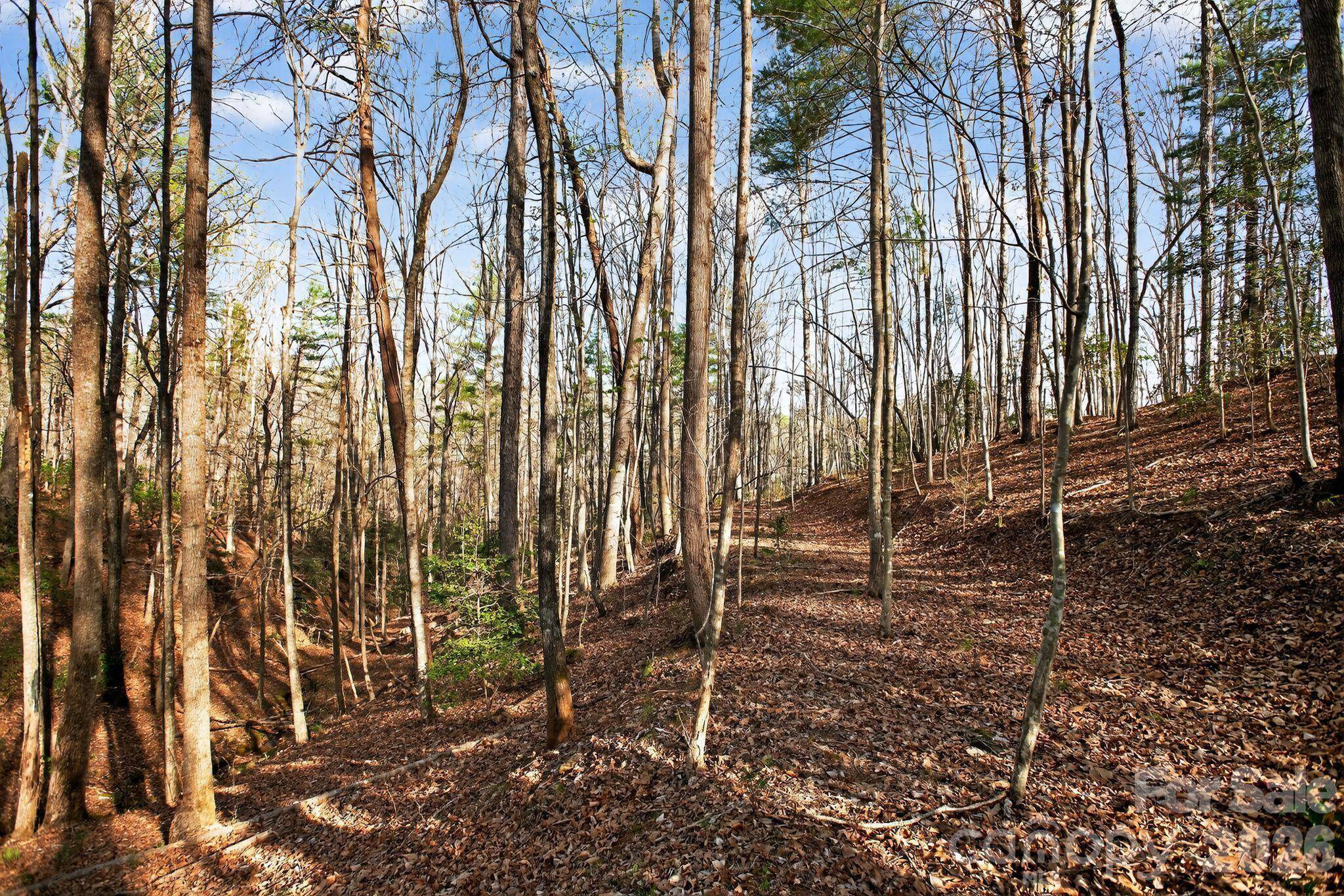 Lot 62 Dirksen AVE, Nebo, NC 28655