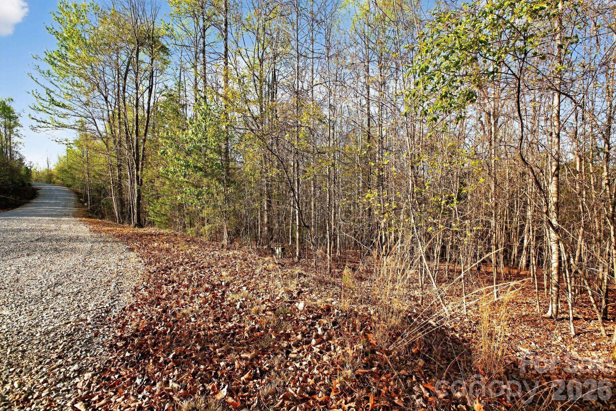 Lot 62 Dirksen AVE, Nebo, NC 28655