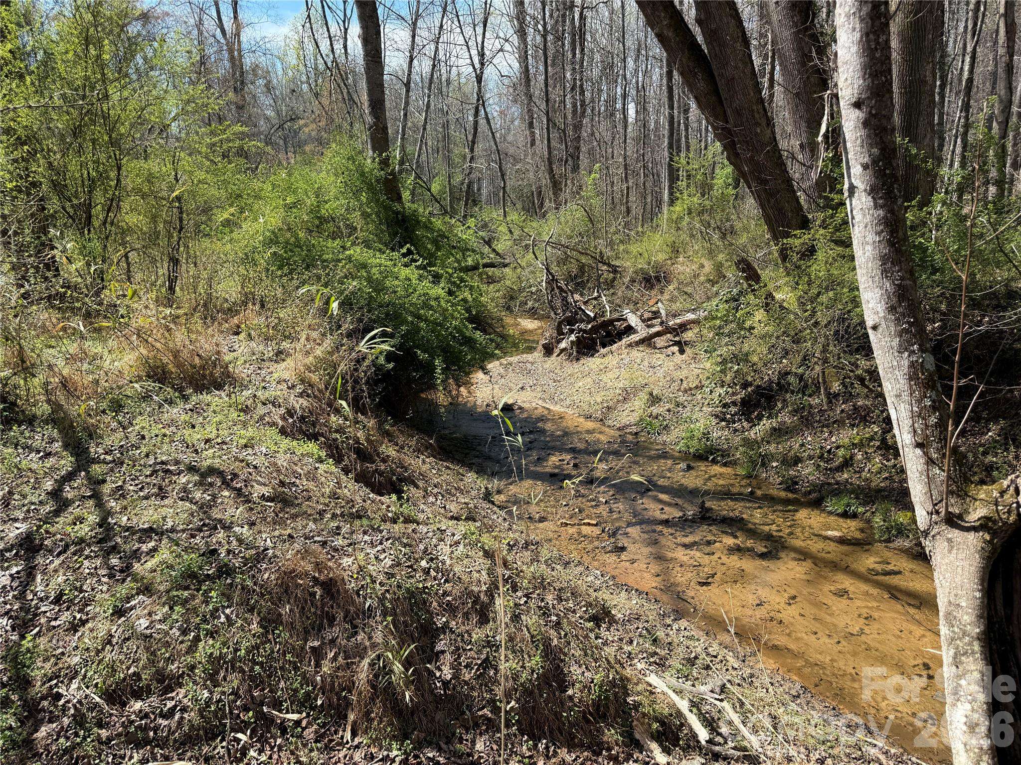 0 Ridge Creek LN, Lawndale, NC 28168