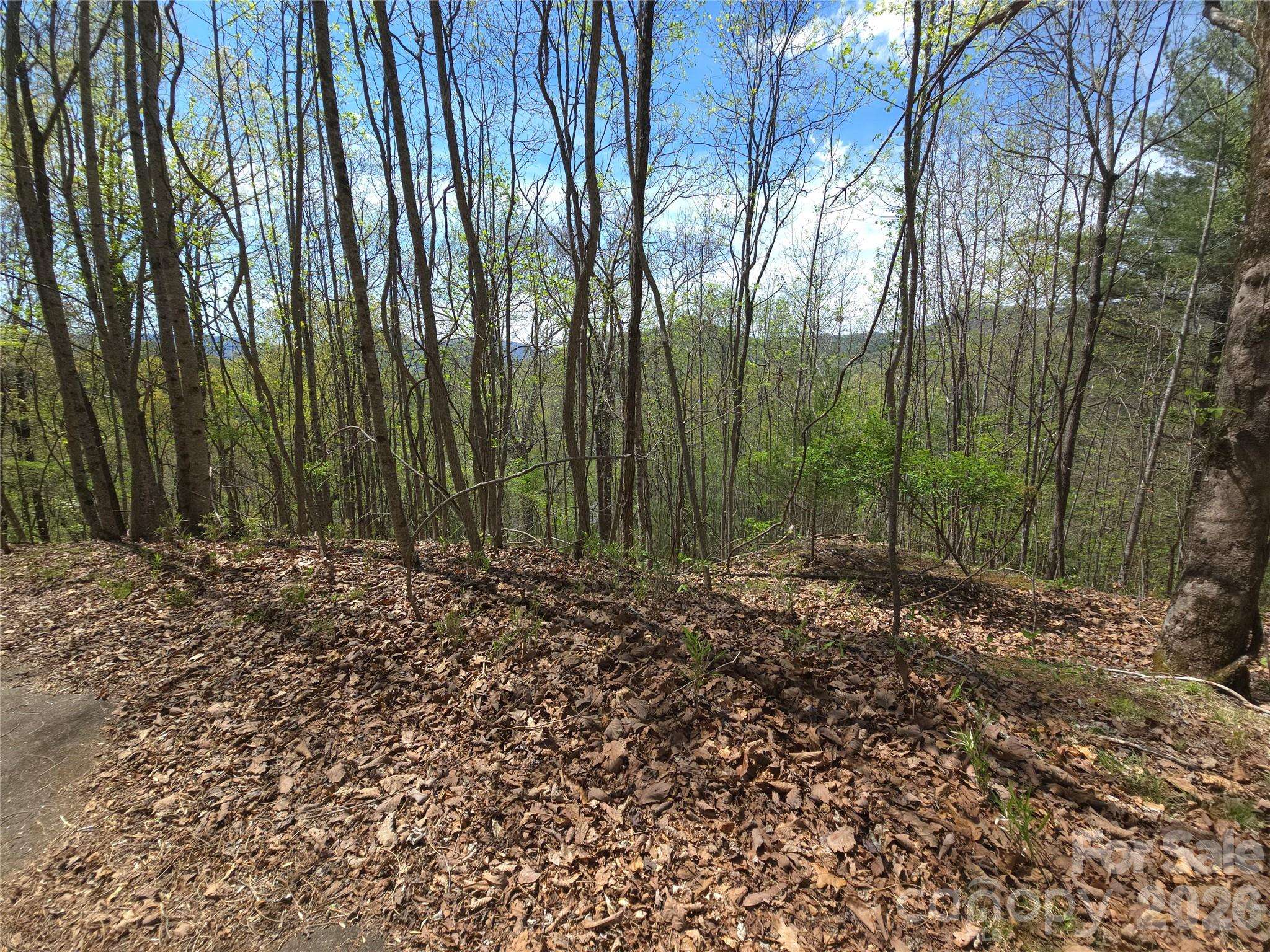 0 WINDING WAY DR #32/33, Franklin, NC 28734